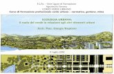 ECOLOGIA URBANA: il ruolo del verde in relazione agli ... · ECOLOGIA URBANA: il ruolo del verde in relazione agli altri elementi urbani ECOLOGIA URBANA ANNI ’70 Limiti delle risorse