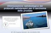 Ottimizzazione radiobiologica dei protocolli radioterapici ...static.sif.it/SIF/resources/public/files/congr09/mc/terlizzi.pdf · RADIOBIOLOGIA: RISPOSTA DEI TESSUTI ALL’IRRADIAZIONE.