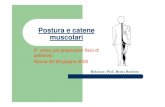 Benis catene muscolari - catene...  Postura e catene muscolari 2° corso per preparatori fisici di
