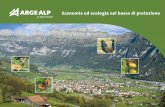 Economia ed ecologia nel bosco di protezione - Arge Alpit.argealp.org/content/download/2712/16823/version/4/file/... · Conciliare l’ecologia e l’economia in questo frangente