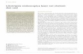 Litotripsia endoscopica laser nei cheloni: due casiquantronics-sas.com/wp-content/uploads/2015/03/Litotripsia... · (Jelco, Smiths Medical International Ltd., Regno Unito) e mantenuta