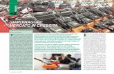 GIARDINAGGIO: MERCATO IN CRESCITA - FederUnacoma · per il giardinaggio ha concluso l’annata 2006 in modo assolutamente soddi-sfacente, confermando la vi- ... more structured markets
