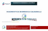 DIAGNOSTICA BIOMEDICA CALDARELLI · Il Centro Diagnostica Biomedica Caldarelli è autorizzata ad espletare attività di laboratorio di Analisi Cliniche, Microbiologiche, Siero immunologiche,
