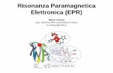 Risonanza Paramagnetica Elettronica (EPR) · dinamiche e la distribuzione spaziale di specie paramagnetiche, ovvero specie, contenenti almeno un elettrone spaiato. Ioni di metalli