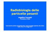 Radiobiologia delle particelle pesanti - ENEA · • Interazioni iniziali Radiaz. indirett. ionizzanti (raggi X, raggi γ) 10-24 - 10-4s Radiaz . dirett . ionizzanti (elettroni, protoni)