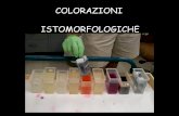 COLORAZIONI ISTOMORFOLOGICHE - uniroma2.it · ferrica di Weigert, una colorazione delle emazie con acido picrico e una colorazione del connettivo con due differenti coloranti acidi