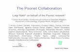 The Psonet Collaboration - .Conflict of interests disclosure . Contracting member of the EMA PSOLAR