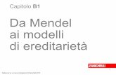 Da Mendel ai modelli - Simone Damiano · La genetica dell’Ottocento Gli studi sull’ereditarietà del periodo avevano portato alla teoria della mescolanza, basata su due principi: