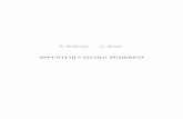 R. Bevilacqua O. Menchi APPUNTI DI CALCOLO NUMERICObevilacq/Dispensa11-12.pdf · 2 L’analisi numerica ha assunto le caratteristiche di una disciplina autonoma solo con l’introduzione