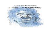 Il Grillo Mannaro - Stefano Montanari – Il sito … di questo, per fortuna effimero, inferno è avere una visione lucida del personaggio Grillo, una visione quasi scientifica perché