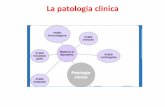 La patologia clinica - .La patologia clinica . La patologia clinica . La patologia clinica . Il sangue