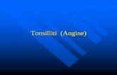 Tonsilliti - ordinefarmacistinuoro.it. Tonsilliti.pdf · 5 CH 3 granuli ogni 6 ore . 6. Mercurius corrosivus ... Pyrogenium 3. Echinacea 4. Myristica sebifera ...
