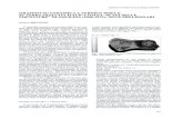 GRAFFITI SU CERAMICA A VERNICE NERA E TERRA … · MAN Aquileia, n. inv. 54.827. Frammento di coppa con Fondo frammentario di una coppa di forma Lamboglia 28, che reca sul fondo interno