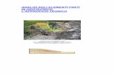 ANALISI AGLI ELEMENTI FINITI IN GEOTECNICA: L ... - terrain.it Cap 3.pdf · Ing. A. S. Rabuffetti – Studio Terrain – Milano - 2008 INTRODUZIONE AI METODI F.E.M. - in concomitanza