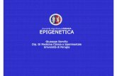 Giuseppe Servillo Dip. Di Medicina Clinica e Sperimentale ... · EPIGENETICA Comporta modificazioni a livello della cromatina che: Non modificano la struttura primaria del DNA Possono