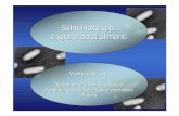 Salmonella spp. e igiene degli alimenti - Azienda USL Imola · animali, alimenti e persone colpite da salmonellosi ...