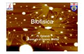 Biofisica - ge.infn.itsquarcia/DIDATTICA/Orientamento/05_Rolandi.pdf · Che cosa è la biofisica? La biofisica è il campo della scienza che usa i principi della fisica e della chimica,