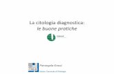 La citologia diagnostica: le buone pratiche - .La citologia esfoliativa Lo studio di cellule, normali