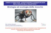 Biologia ed ecologia delle mosche - ulss22.ven.it · CORSO DI FORMAZIONE “APPROFONDIMENTI INTERDISCIPLINARI PER LA SALUTE DELLA COLLETTIVITA’ ” Biologia ed ecologia delle mosche