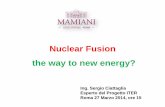 Nuclear Fusion the way to new energy? - mamianilab.it · • Il plasma • La Fusione ... alcuni experimenti al JET) ... con bobina magnetica), da un’idea degli scienziati russi
