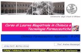 Corso di Laurea Magistrale in Chimica e Tecnologia ...sites.unimi.it/gazzalab/wp-content/uploads/2016/11/110-Rilascio... · Corso di Laurea Magistrale in Chimica e Tecnologia Farmaceutiche
