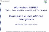 Workshop ISPRA - isprambiente.gov.it · Workshop ISPRA (GdL - Energie Rinnovabili sul Territorio): Biomasse e loro utilizzo energetico Ing. Stellio Vatta – ARPA FVG Workshop ISPRA,