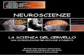 NEUROSCIENZE - Unibs.it · neuroscienziati e che si prodiga per una miglior conoscenza della fisiologia e della patologia del Sistema Nervoso. I suoi membri comprendono scienziati