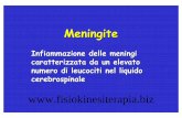 Meningite - Fisiokinesiterapia – Portale di ... · Meningite Infiammazione delle meningi caratterizzata da un elevato numero di leucociti nel liquido cerebrospinale