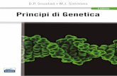 Principi di GENETICA - img.ibs.it · v Prefazione Obiettivi Principi di Genetica bilancia le nuove conoscenze con i principi fondamentali. Come nelle precedenti edizioni, gli obiettivi