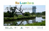 Progetto per la rete ecologica del Lambro Metropolitano · Centro Studi PIM –13 Dicembre 2018. DAL TERRITORIO AL MASTERPLAN ... • Continuità e qualità del sistema degli spazi