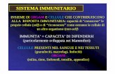 Sistema Immunitario - med.unipg.it Preparazione 2013 2014/Biologia... · SISTEMA IMMUNITARIO INSIEME DI ORGANI E CELLULE CHE CONTRIBUISCONO ALLA RISPOSTA IMMUNITARIA: capacità di