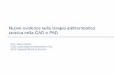Nuove evidenze sulla terapia antitrombotica cronica nella ... · Nuove evidenze sulla terapia antitrombotica cronica nella CAD e PAD Dott. Marco Marini SOD Cardiologia-Emodinamica-UTIC