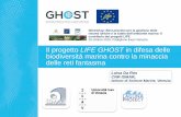 Il progetto LIFE GHOST in difesa delle biodiversità marina ... · il progetto. Tecniche per . ridurre gli impatti delle reti fantasma e . aumentare la biodiversità . nelle aree