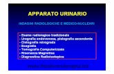  · APPARATO URINARIO INDAGINI RADIOLOGICHE E MEDICO-NUCLEARI - Esame radiologico tradizionale - Urografia endovenosa, pielografia ascendente - Cistografia retrograda
