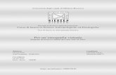 Per un’etnografia virtuale - Cineteca di Bologna · Indice Introduzione 3 1_ Per un’etnografia virtuale . Problemi metodologici e prospettive di ricerca 1.1 Problematizzare gli