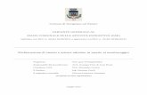 Comune di Savignano sul Panaro VARIANTE GENERALE AL … PAE DICHIARAZIONE... · PIANO COMUNALE DELLE ATTIVITÀ ESTRATTIVE (PAE) (adottata con DCC n. 40 del 26/09/2011 e approvata