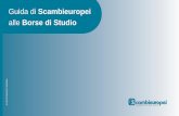 Guida di Scambieuropei - Carlos Costaformazionecooperazione.com/wp-content/uploads/2014/10/Guida-alle... · 2 Guida di Scambieuropei alle Borse di ... e 1 borsa di 2 settimane per