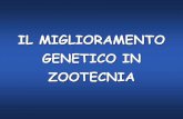 IL MIGLIORAMENTO GENETICO IN ZOOTECNIA - …unina.stidue.net/Zootecnica/MG_gen_carquant.pdf · Il MG in zootecnica si occupa quasi esclusivamente di caratteri di interesse economico