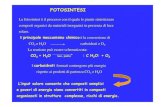 FOTOSINTESI - unirc.it · La fotosintesi è il processo con il quale le piante sintetizzano ... Lo schema Z è diviso in due segmenti, uno per ogni fotosistema :