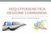VEQ CITOGENETICA REGIONE LOMBARDIA · Milano 14 dicembre 2016 -Aula Magna Niguarda ... dichiarato il maggior numero di analisi per specifica ... le immagini (dalle 16 alle 20) e la