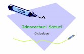 Idrocarburi Saturi - univpm.it · Isomeria CIS-TRANS • I cicloalcani con sostituenti su due o più atomi di carbonio dell'anello mostrano un tipo di isomeria chiamato isomeria cis-trans.