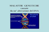 MALATTIE GENETICHE causate da un’ alterazione del DNAzollo/4.Lezione.GeneticaMedica.2009.pdf · funzioni di quel particolare gene? se si, l’allele mutante è detto recessivo cosi
