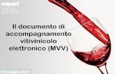 Il documento di accompagnamento elettronico (MVV)dirittovitivinicolo.eu/wp-content/uploads/2018/04/presentazione... · Il documento MVV elettronico è soggetto ad operazione di validazione