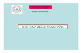 BIOFISICA DELLE MEMBRANE - delle    BIOFISICA DELLE MEMBRANE Biofisica e Fisiologia I