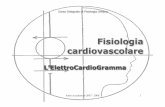 Fisiologia cardiovascolare - luigivicari.it · 6.Effetti di farmaci che agiscono sul cronotropismo e sull’inotropismo cardiaco 7.Alterazioni nel bilancio tra le due componenti del