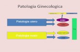 Patologia Ginecologica - ginecologia.altervista.orgginecologia.altervista.org/Endometriosi.pdf · corpo uterino. •10% dei casi si sviluppo a livello del collo uterino o dell’