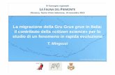 La migrazione della Gru Grus grus in Italia: il contributo ... · IV Convegno regionale LA FAUNA DEL PIEMONTE Cherasco, Teatro Civico Salomone, 14 novembre 2015 La migrazione della