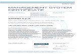 MANAGEMENT SYSTEM CERTIFICATE - · PDF fileManagement Representative ... one di centraline, dispositivi elettronici e sistemi di acquisizione dati per veicoli commerciali/racing &