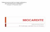 “Ottimizzazione dell’uso degli antibiotici e dei ...cplps2.altervista.org/phocadownload/miocarditi.pdf · BEM positiva: combinazione di aree di miocardite attiva e aree di cicatrizzazione