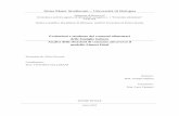 Alma Mater Studiorum – Università di Bolognaamsdottorato.unibo.it/4030/1/Zucconi_Silvia_Tesi.pdf · 1. La teoria economica del consumo: alcuni cenni introduttivi 1.1. Il consumo